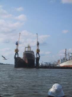 IMG_2146.JPG